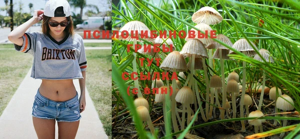 скорость Балахна