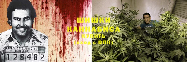 PSILOCYBIN Балабаново