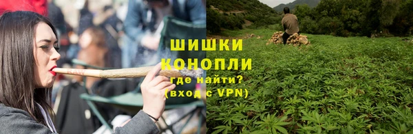 PSILOCYBIN Балабаново