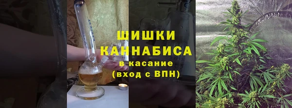 PSILOCYBIN Балабаново