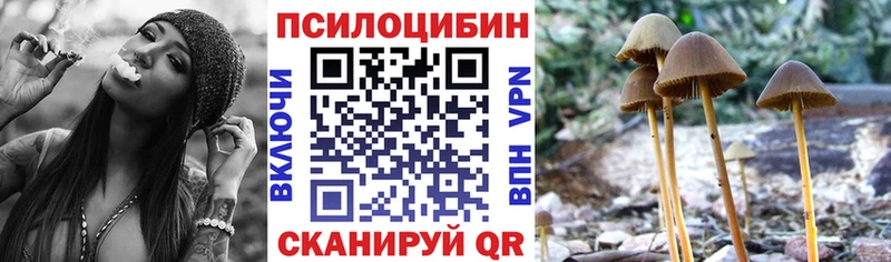 где продают   Кунгур  даркнет состав  Галлюциногенные грибы Magic Shrooms 